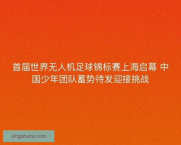 首届世界无人机足球锦标赛上海启幕 中国少年团队蓄势待发迎接挑战